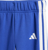 Tuta Royal Autunno/Inverno