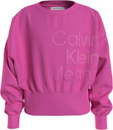 Pre Collezione Felpa Pink Primavera/Estate