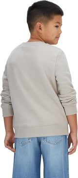 Felpa Grey Primavera/Estate