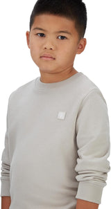 Felpa Grey Primavera/Estate