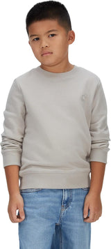 Felpa Grey Primavera/Estate