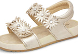 Sandalo Gold Primavera/Estate